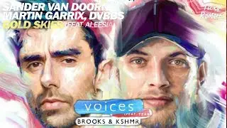 Voices vs. Gold Skies (Florix Remakes Mashup)