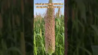 Natural Status # Farming Video # Ytstudio # Virals #