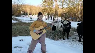 Do Cows Like Music?