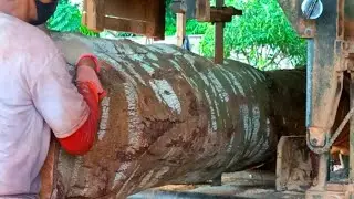 Perfect sawing is only done by professional operators of the Sawmill channel