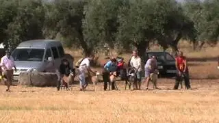 4&ordf; carrera regates Erustes 2013
