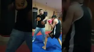 SAMARQAND MMA SPORT BOXING PROFISANAL SPORTS BOXING MMA SAMARQAND LAZIZ MAMARIZAYEV 