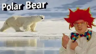 Animal Giants | Quiztime | Educational Video | Quizzie The Quiz Master | Kids Video | YouTube Kids