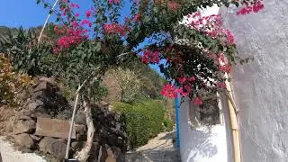 Filicudi, l'isola in cui vivere