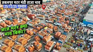 🫛 जबलपुर मटर मंडी भाव | 25 दिसंबर 2025 | आज मटर क्या रेट बिका? | MP Mandi Update