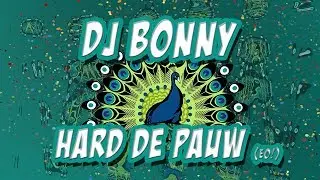 Dj Bonny - Hard De Pauw (Eo!)   (FH Records) (HD)