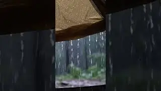 Ultra Relaxing Rain Sounds for Sleep, Study & Deep Focus ASMR&rdquo; #relaxingsound #sleepmusic #rain