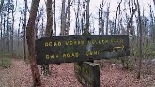 Dead Woman Hollow Trail 1 Quicky #deadwomanhollowtrail #michauxstateforest #hiking #pennsylvania