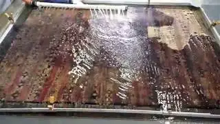 Iowa Drapery Oriental rug Cleaning Removing urine odor Stains