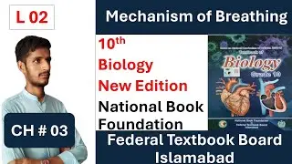 Mechanism of Breathing || CH 03 || Respiratory System || New Edition || National Book Foundation