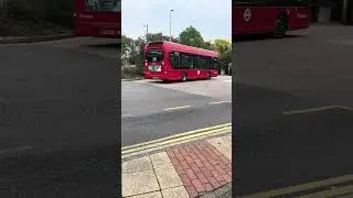 First London 290 Passing Through Uxbridge Road / Hampton Sainsbury's - Sunday 19th October 2025 #bus