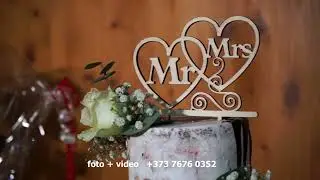 nunta md