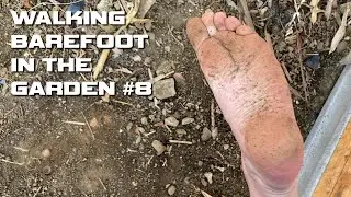 Walking Barefoot in the Garden #8