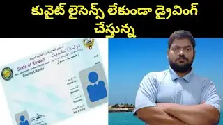 Kuwait Without Driving Licence || Kuwait Without Driving Licence || STV Telugu News