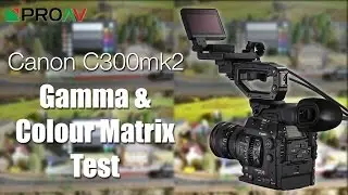 Canon C300mk2 - Colour & Gamma Range Tests