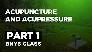 BNYS II Acupuncture and Acupressure Part 1  II With Dr. Simran II #bnys  #SRAF