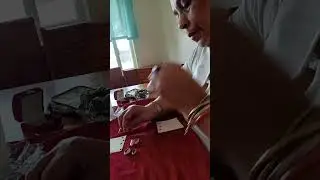 spiritual cowrie shell reading