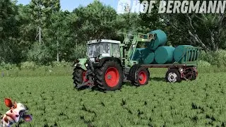 LS25 / Hof Bergmann # 137