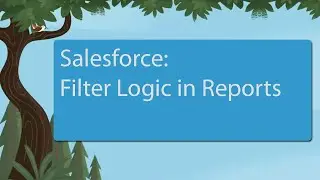 Salesforce: Report Filter Logic