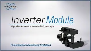 Inverted Configuration: When to Choose It | Fluorescence Microscopy Explained