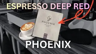 Der ROTE PH&Ouml;NIX landet in der TASSE - Review des Espresso Deep Red - Phoenix Coffee Roasters
