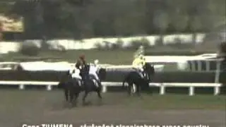 Cena TIUMENA-z&aacute;věrečn&aacute; steeplechase cross country sez&oacute;ny 2010