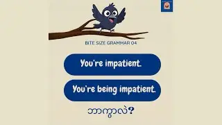 🍫bite-size grammar- Episode 04🍫(state/action verbs) #english #presentcontinuous  #presentsimple 