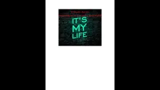It's My Life - Guitars and Axe-FX III programming