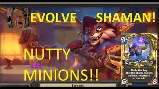 AMAZING EVOLVE SHAMAN! the most fun and HIGH WINRATE