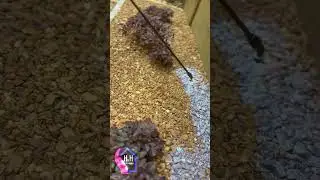 Best Landscape Rock Adhesive #landscape #newage #diy