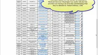Meaningful Use Audit & Business Issues