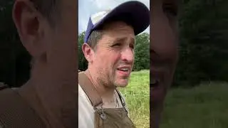 How My Farm Deals with Flies