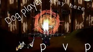 Order and chaos pvp arena ( 2 elem)