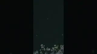 Watch This Triangle Formation Glide Through The Sky!! #ufo#uap#ufogirly