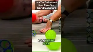 Nurturing Nature: The Crucial Role of the Environment in Baby Development.