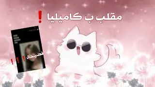 الفيد المنتظر عند ايمان خانوم😎🤙🏻
