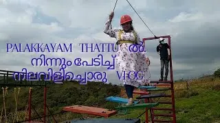 Palakkayam Thattu ൽ നിന്നും പേടിച്ച് നിലവിളിച്ചൊരു vlog