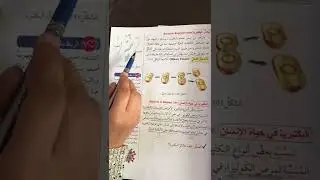 الصف السابع/علوم/درس نطاقا البكتيريا والأثريات @مي_الزعبي #الصف_السابع