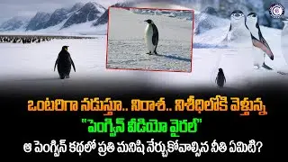 ఒంటరిగా నడుస్తూ.. నిరాశ.. నిశీధిలోకి వెళ్తున్న 