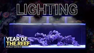 The Key to Thriving Corals: Mastering Reef Aquarium Lighting! (Year of the Reef Ep. 6)