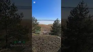 🌲🚙🌲QubusioVanie 2025.02 