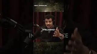 Why the Movie Lucy is Inaccurate? | Neil deGrasse Tyson