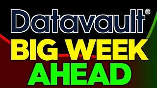 Акции Datavault AI (DVLT) &mdash; рост выручки на 147%, но акции падают &mdash; почему?