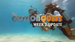 ActionQuest Update Video - Session 2, Week 2, 2019