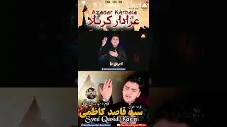 Azadar karbala #hussain #mola #religion #noha2019 #2023 #rajab #noha2020 #azadar #noha2022