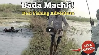 फिशिंग के साथ-साथ एंजॉय भी किया  | सोहन और नकुल ने तो कमाल कर दिया | snakehead Fishing #crazynaik 