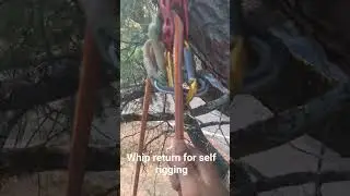 use the whip return for self rigging  in the tree #arborist