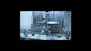 Automatic 2 Head Servo Electronic Filling Machine | Barvaya