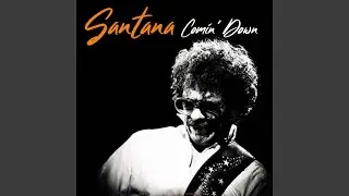 Open Invitation (Live 1981)