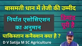 Basmati rice export news | basmati niryat | basmati export | basmati bhav |